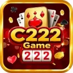 c222 Game